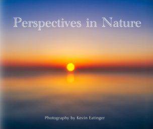 Perspectives in Nature book cover