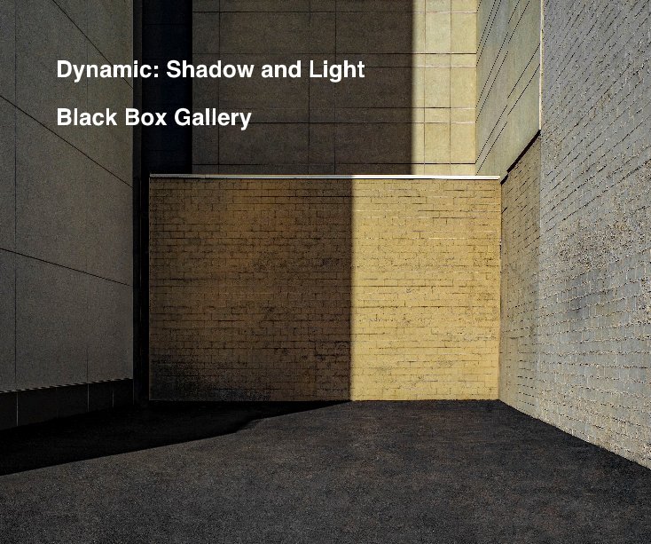 View Dynamic: Shadow and Light by Black Box Gallery