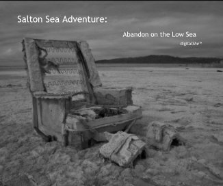 Salton Sea Adventure: book cover