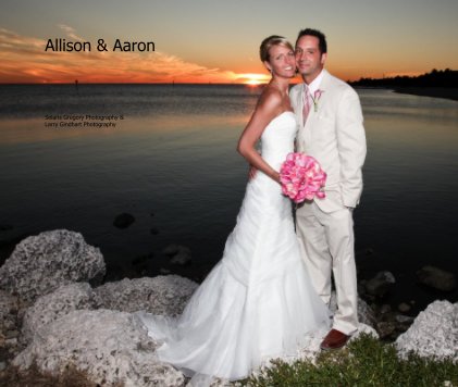Allison & Aaron book cover