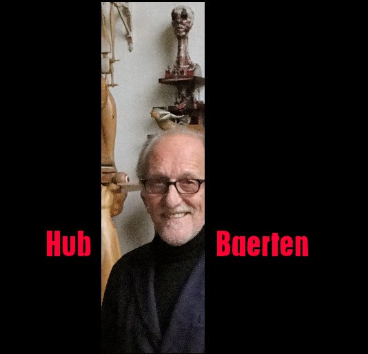 View Hub Baerten by Francis Dirix Black Box