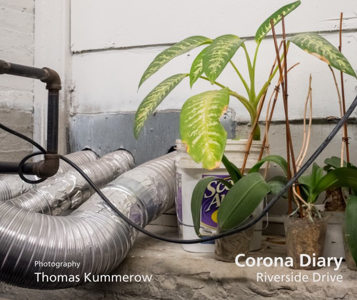 Ver Corona Diary por Thomas Kummerow