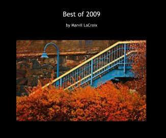 Best of 2009 book cover