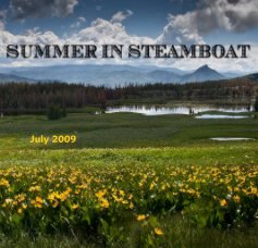 Summer in Steamboat III book cover