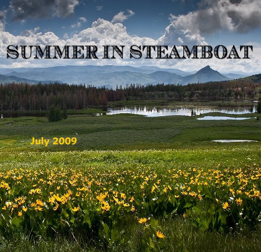View Summer in Steamboat III by Rona Daniels