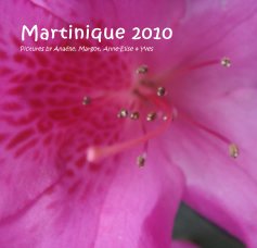 Martinique 2010 Pictures by AnaÃ«lle, Margot, Anne-Elise & Yves book cover