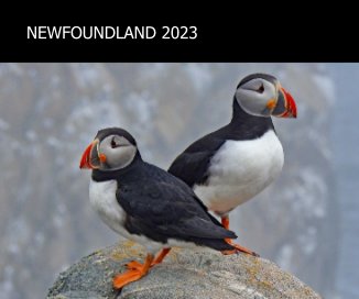 Newfoundland 2023 book cover