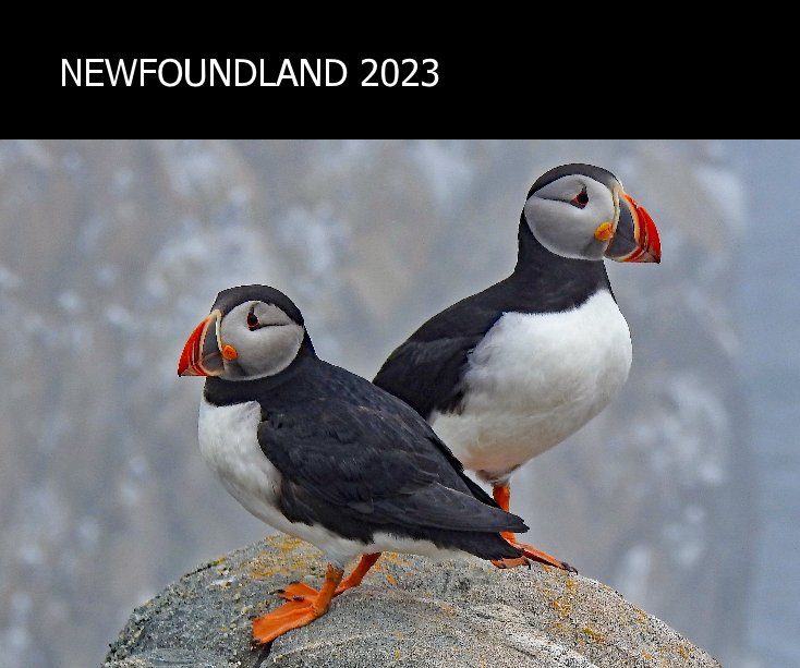 View Newfoundland 2023 by Barbara and Paul Wallace