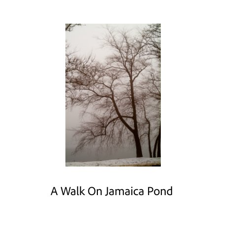 View A Walk On Jamaica Pond by Andrew Brilliant