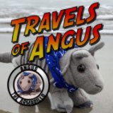 Travels of Angus book cover