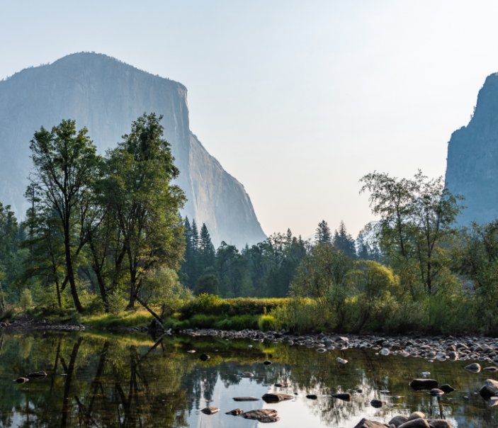 View California's Redwoods and Yosemite National Parks by Dean Sheldon