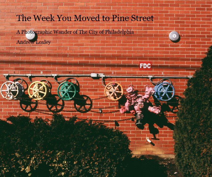 Ver The Week You Moved to Pine Street por Andrew Loxley