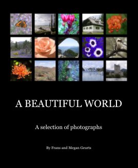 A BEAUTIFUL WORLD book cover