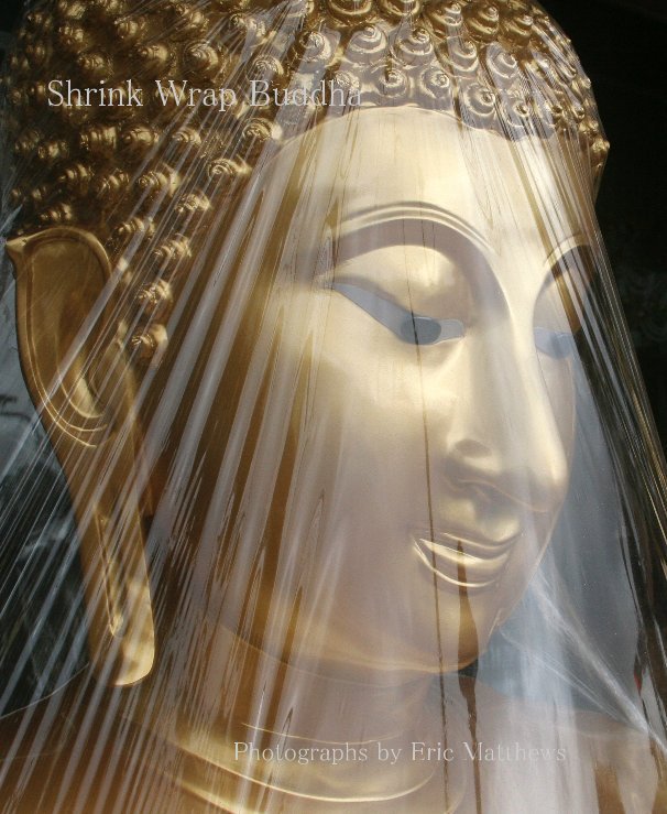 View Shrink Wrap Buddha by Eric Matthews