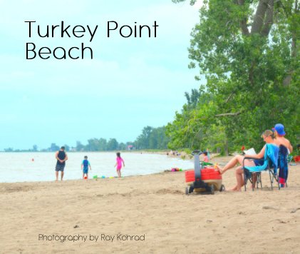 Turkey Point Beach book cover