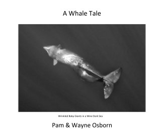 A Whale Tale book cover