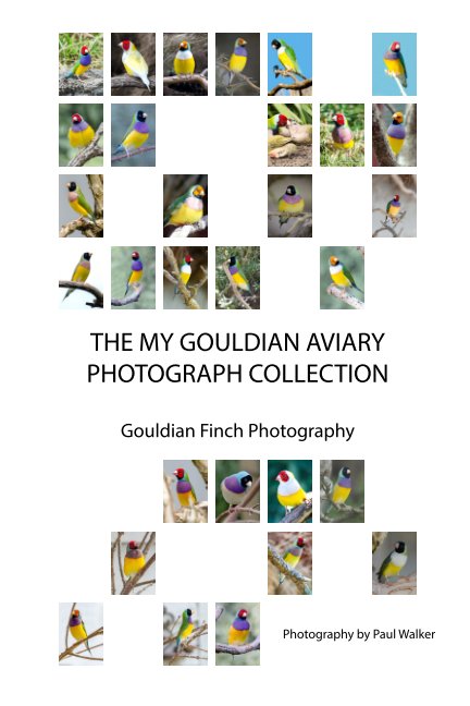 View The My Gouldian Aviary Photograph Collection by Paul Walker
