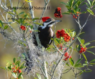 The Wonder of Nature II book cover