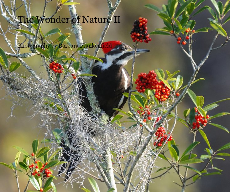 The Wonder of Nature II nach Photography by Barbara Frankenfield anzeigen