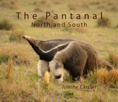 The Pantanal book cover