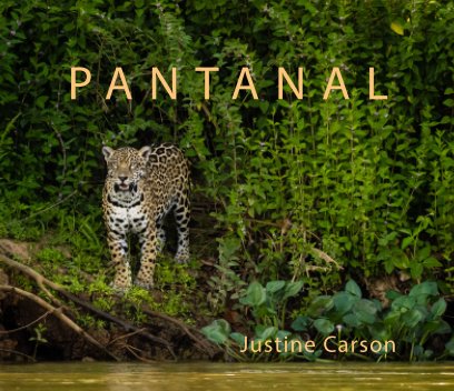 Pantanal book cover