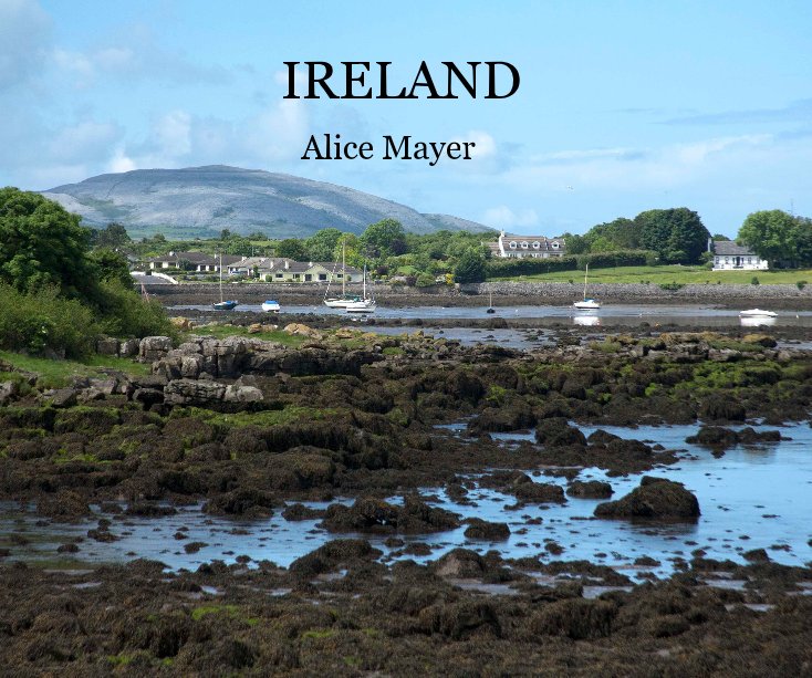 View Ireland by Alice Mayer