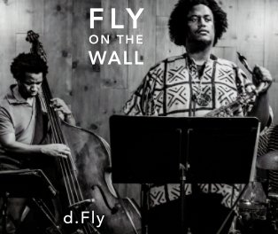 Fly On The Wall book cover