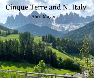 Cinque Terre and N. Italy book cover