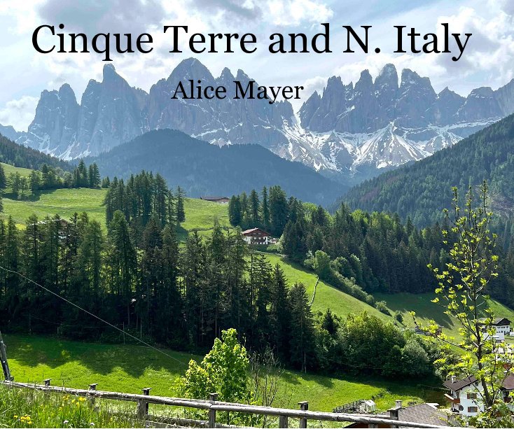 View Cinque Terre and N. Italy by Alice Mayer