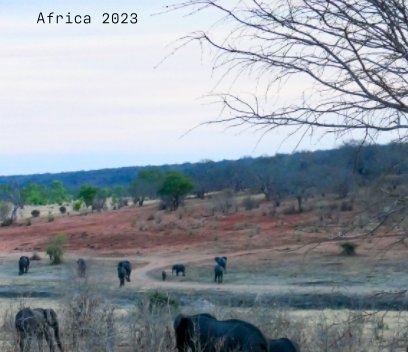 Africa 2023 Deluxe book cover