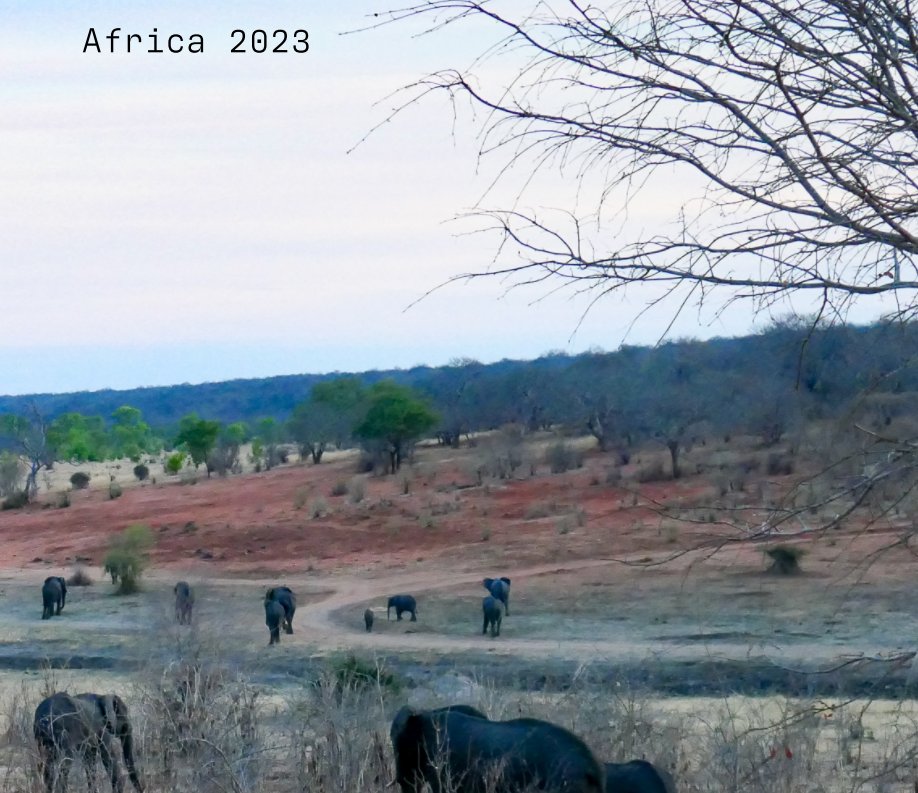 View Africa 2023 Deluxe by Martha Wasacz and Dirk Banda