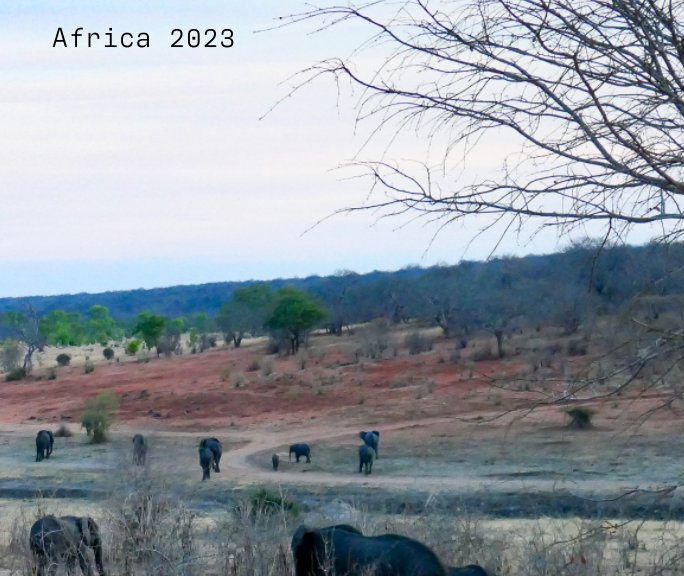 View Africa 2023 Standard by Martha Wasacz and Dirk Banda
