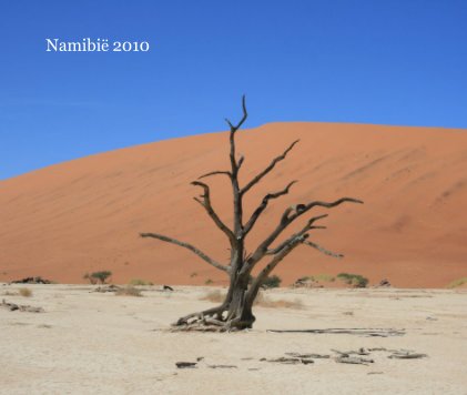 Namibië 2010 book cover