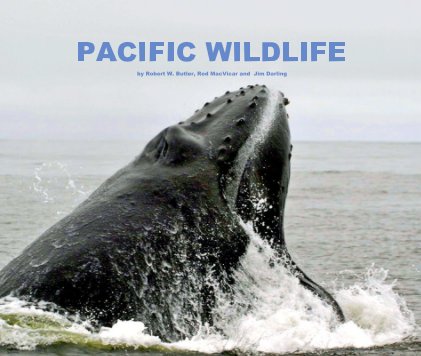 PACIFIC WILDLIFE book cover