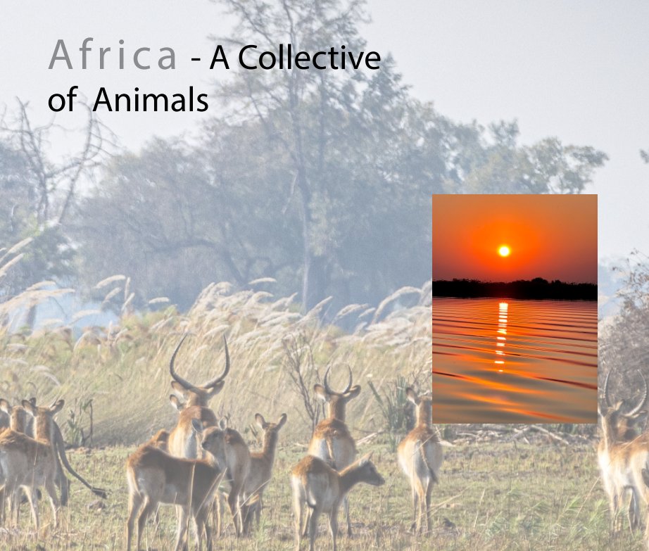 Visualizza Africa - Collectives di Charles W Guthrie
