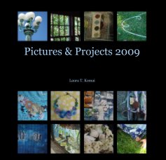 Pictures & Projects 2009 book cover