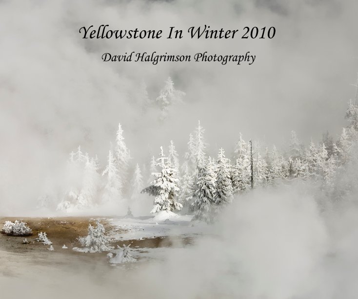 View Yellowstone In Winter 2010 by David Halgrimson Photography