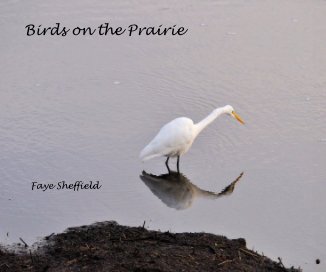 Birds on the Prairie book cover