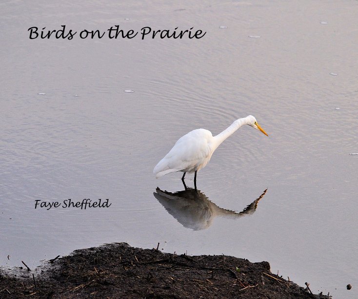 View Birds on the Prairie by Faye Sheffield