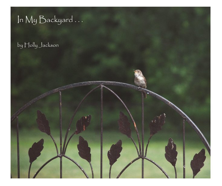 View In My Backyard . . . by Holly Jackson