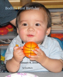 Bodhi's First Birthday book cover