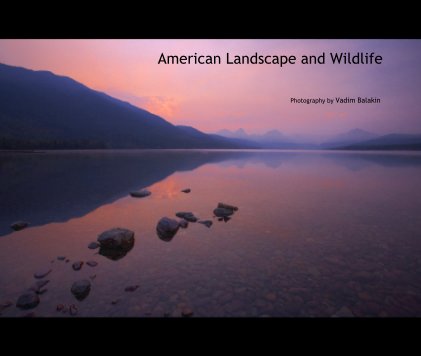 American Landscape and Wildlife book cover