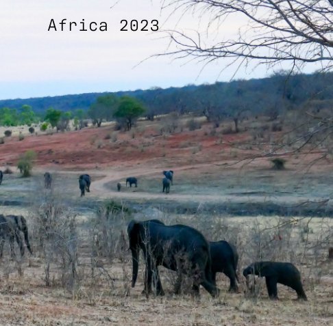 Bekijk Africa 2023 Small op Martha Wasacz and Dirk Banda