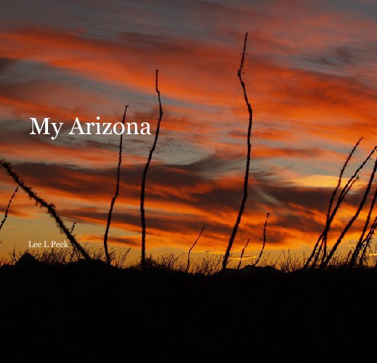 Visualizza My Arizona di Lee L Peck