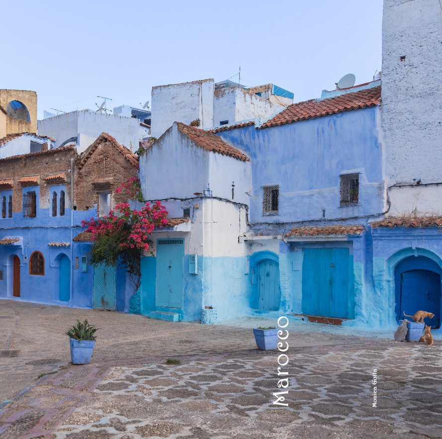 View Marocco by Monica Gotta