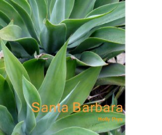 Santa Barbara book cover