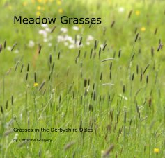 Meadow Grasses book cover