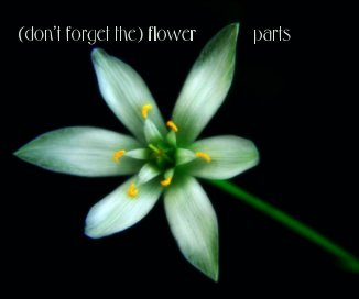 (don't forget the) flower parts book cover