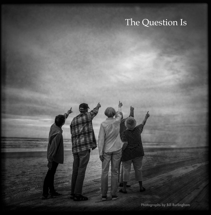 Ver The Question Is por Bill Burlingham