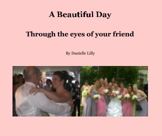 A Beautiful Day book cover